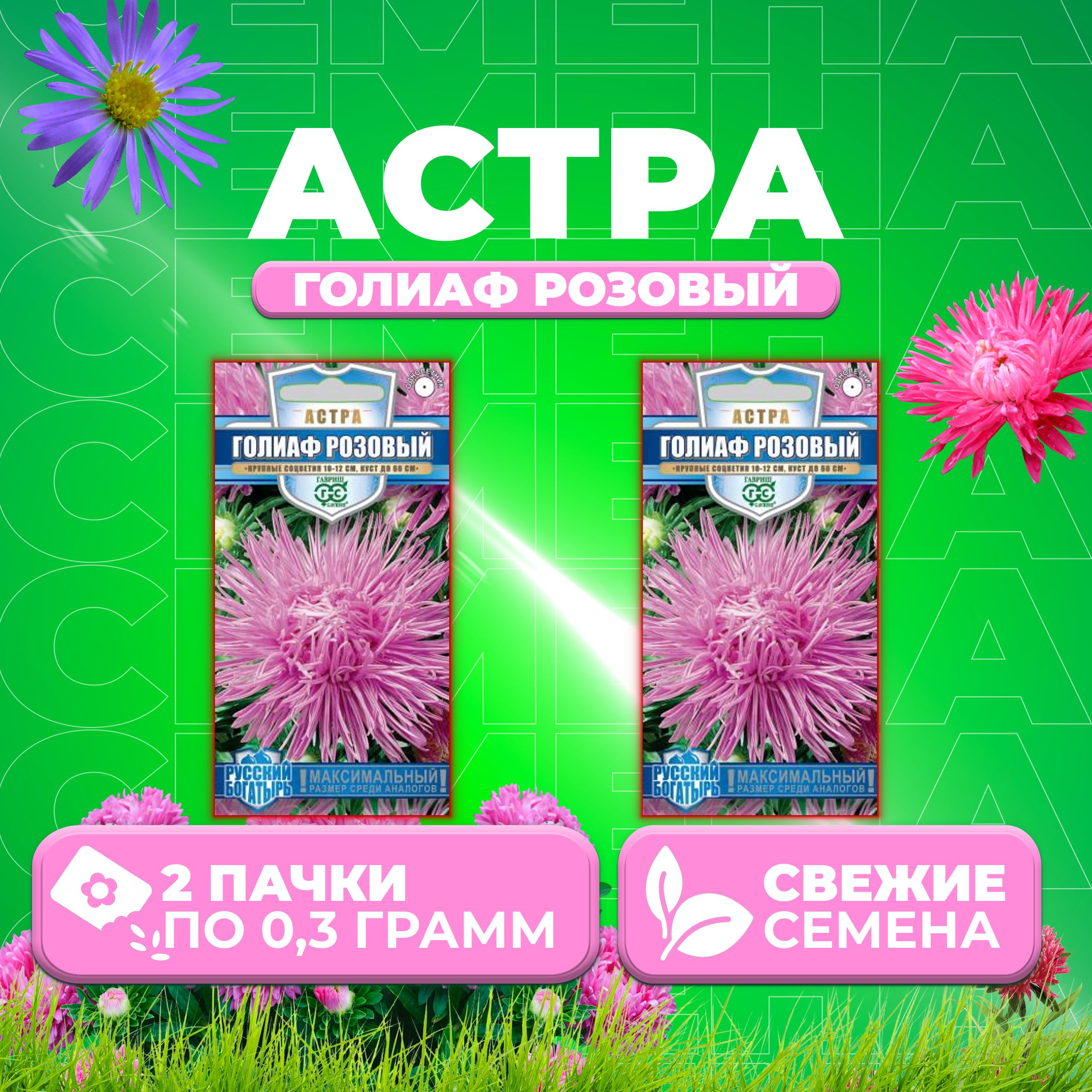 

Семена Астра Голиаф розовый, игольчатая, 0,3г, Гавриш, Русский богатырь 2 уп