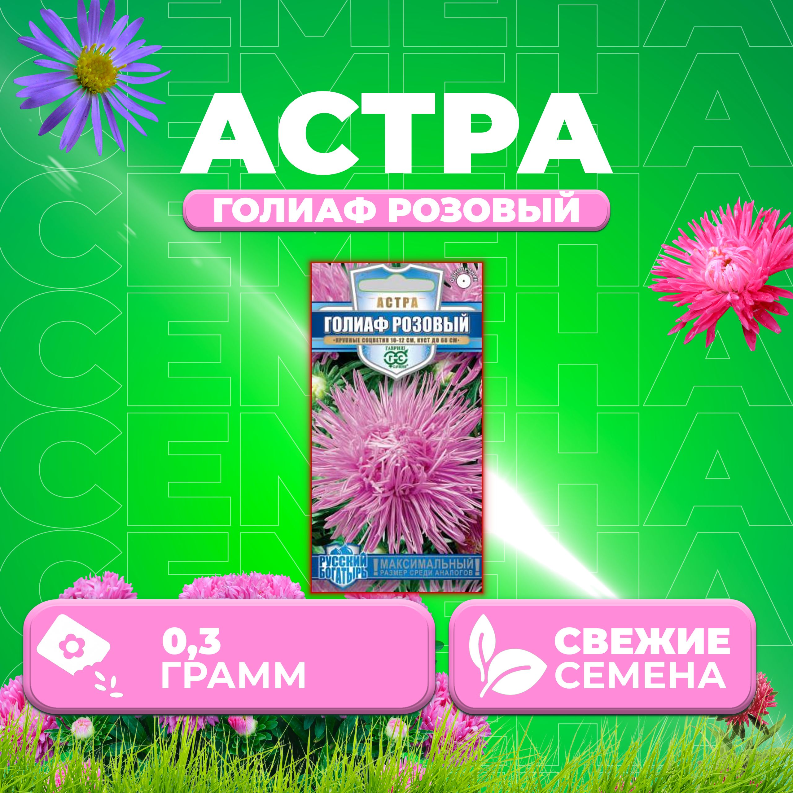 

Семена Астра Голиаф розовый, игольчатая, 0,3г, Гавриш, Русский богатырь 1 уп