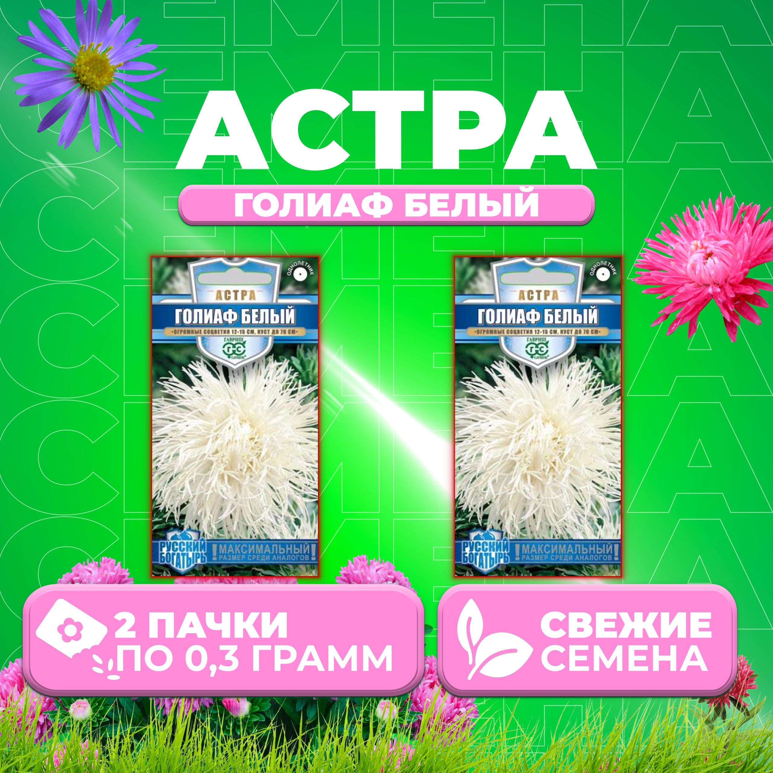 

Семена Астра Голиаф белый, игольчатая, 0,3г, Гавриш, Русский богатырь 2 уп