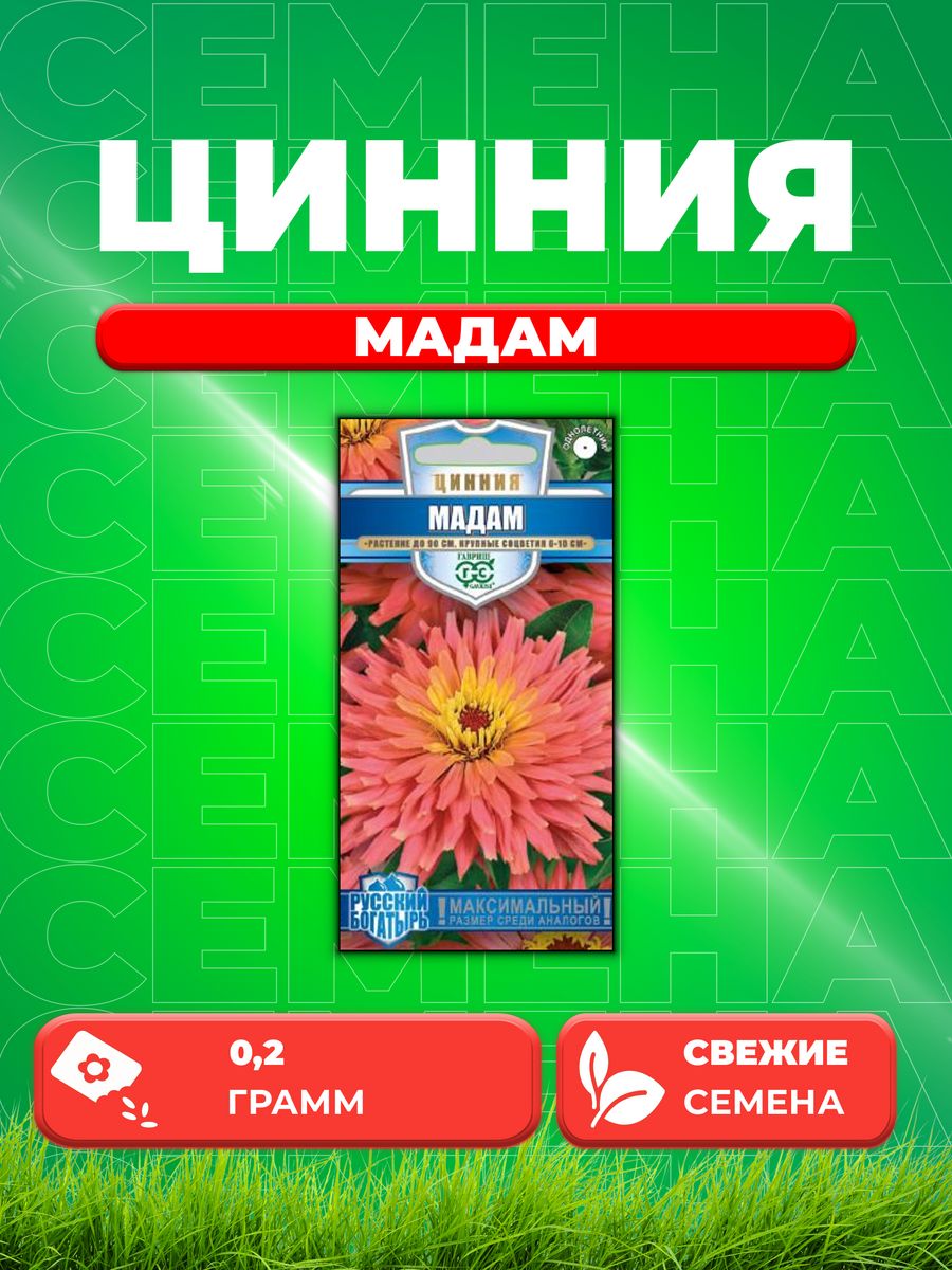 

Семена Цинния Мадам 0,2 г серия Русский богатырь Н18