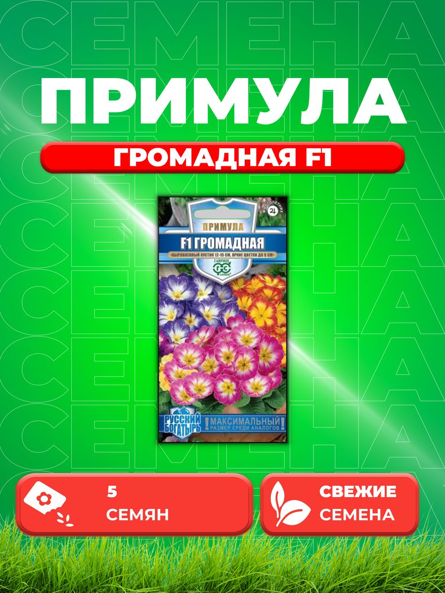 

Семена Примула Громадная F1 обыкновенная грунтовая 5 шт.