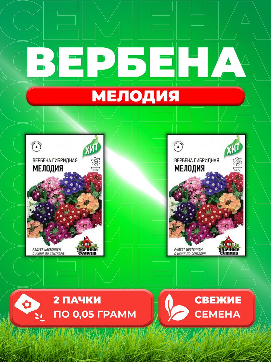 

Семена Вербена Мелодия*, гибридная смесь 0,05 г ХИТ х3 2уп