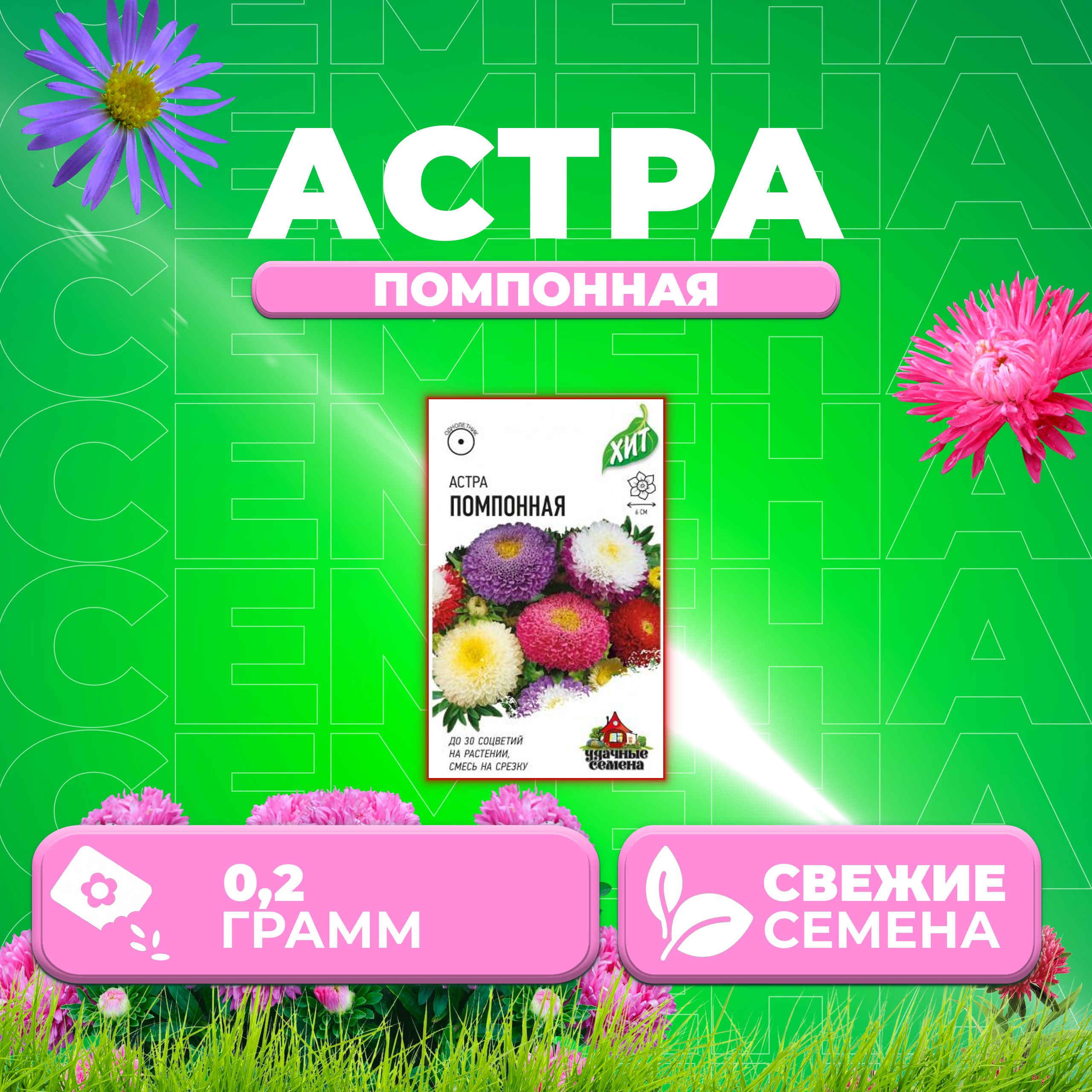 

Семена Астра Помпонная, смесь, 0,2 г, Удачные семена, серия ХИТ 1 уп