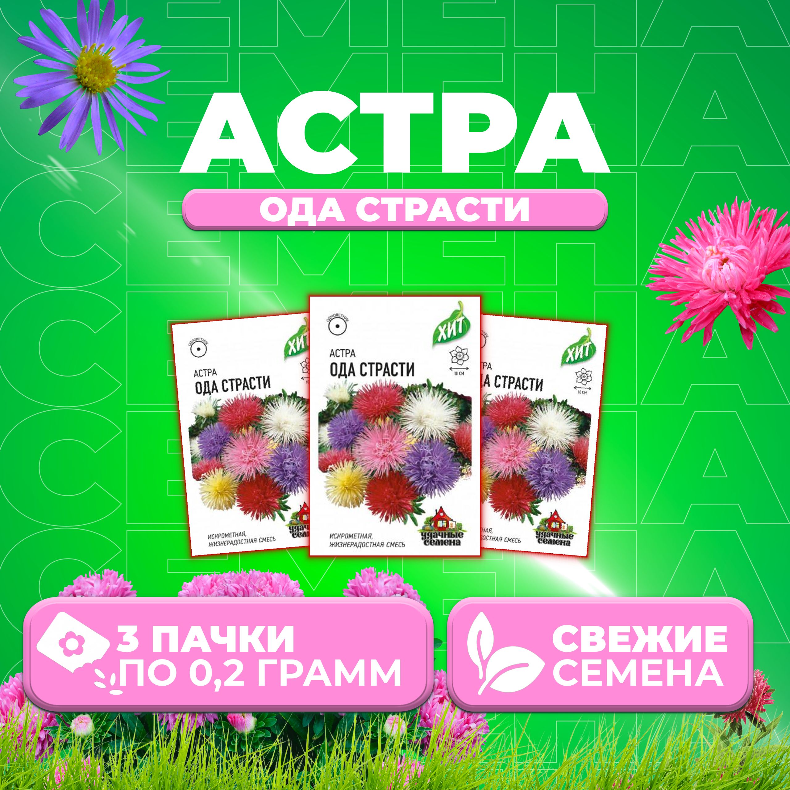 Семена Астра Ода страсти игольчатая, смесь, 0,2г, Удачные семена, серия ХИТ 3 уп