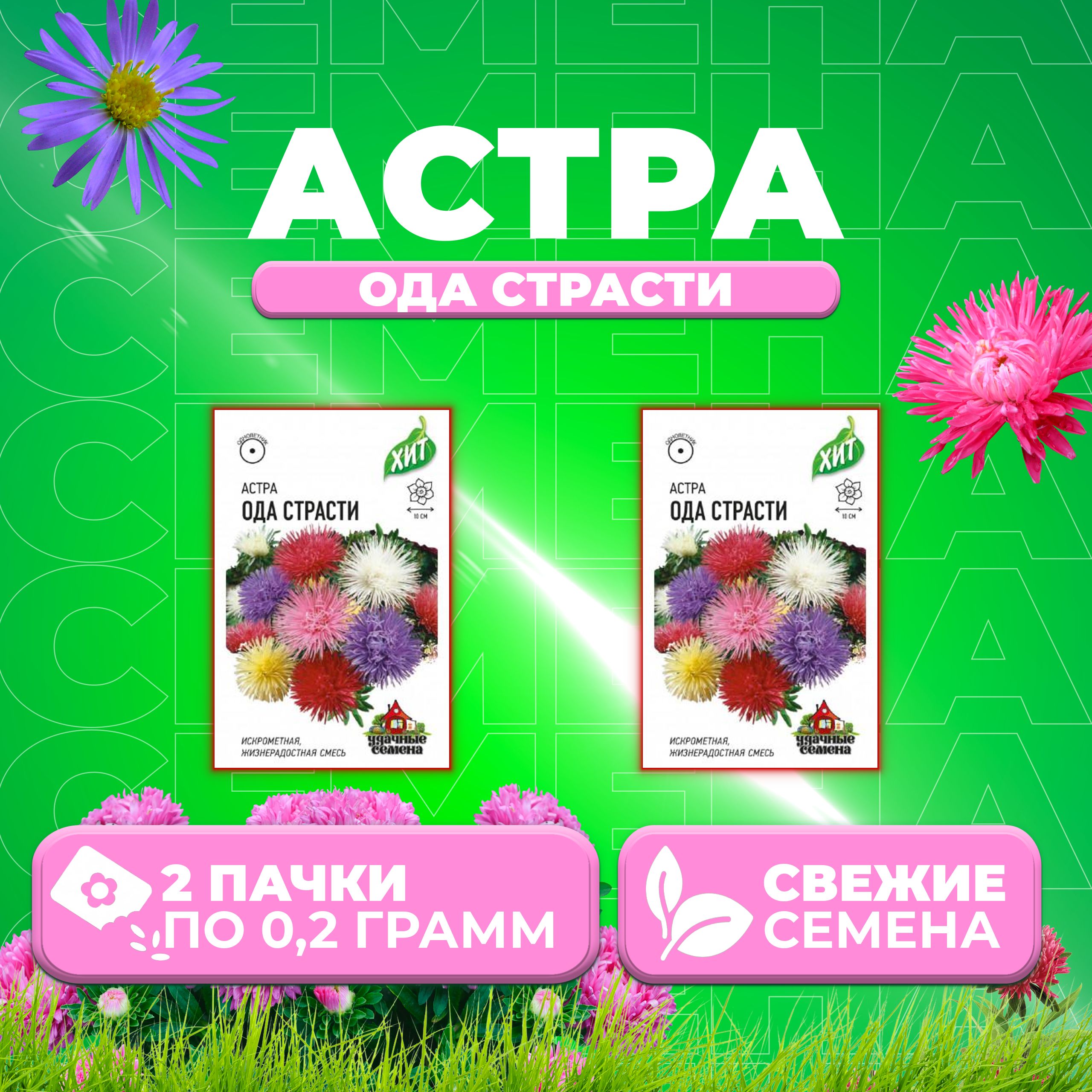 

Семена Астра Ода страсти игольчатая, смесь, 0,2г, Удачные семена, серия ХИТ 2 уп