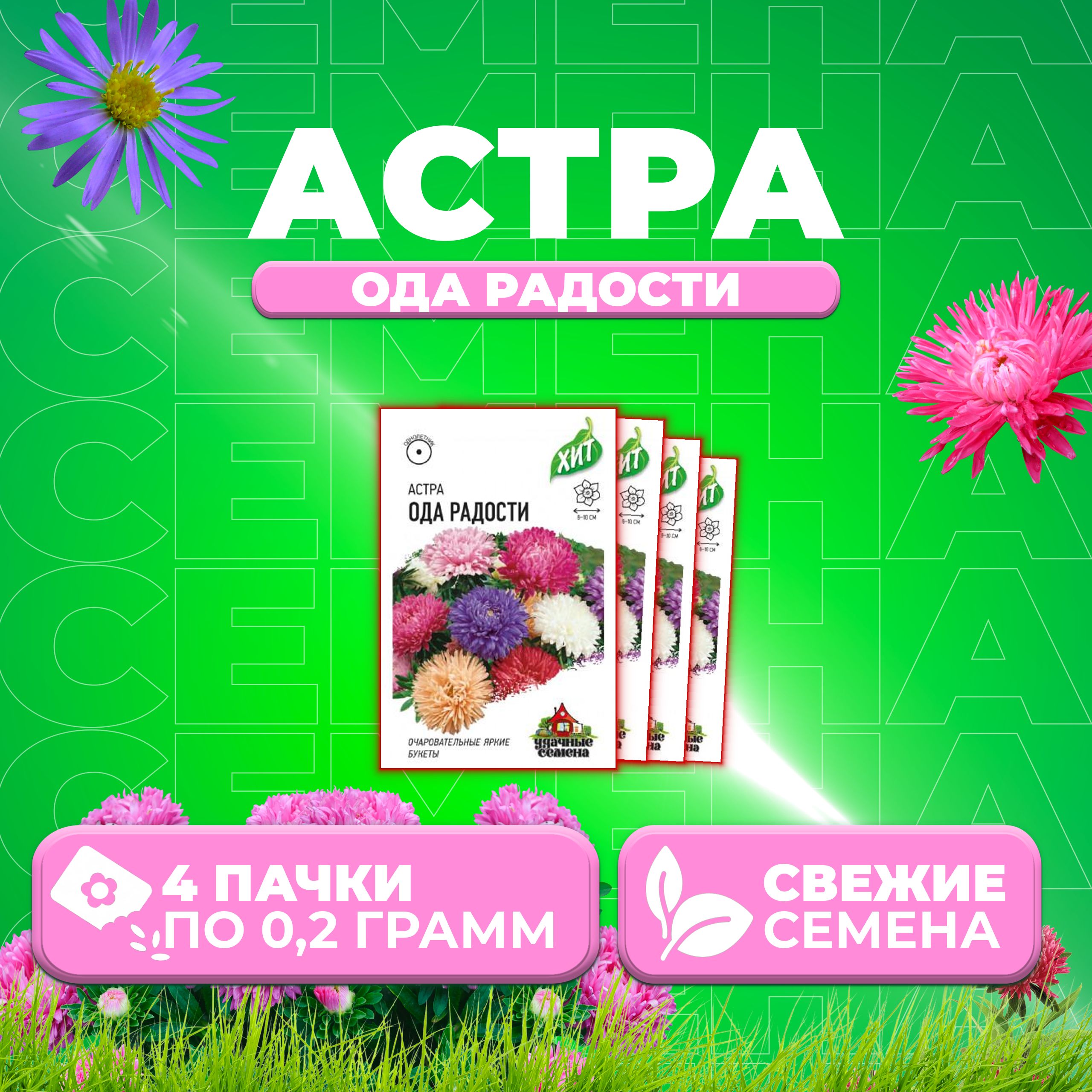 

Семена Астра Ода радости, смесь, 0,2г, Удачные семена, серия ХИТ 4 уп