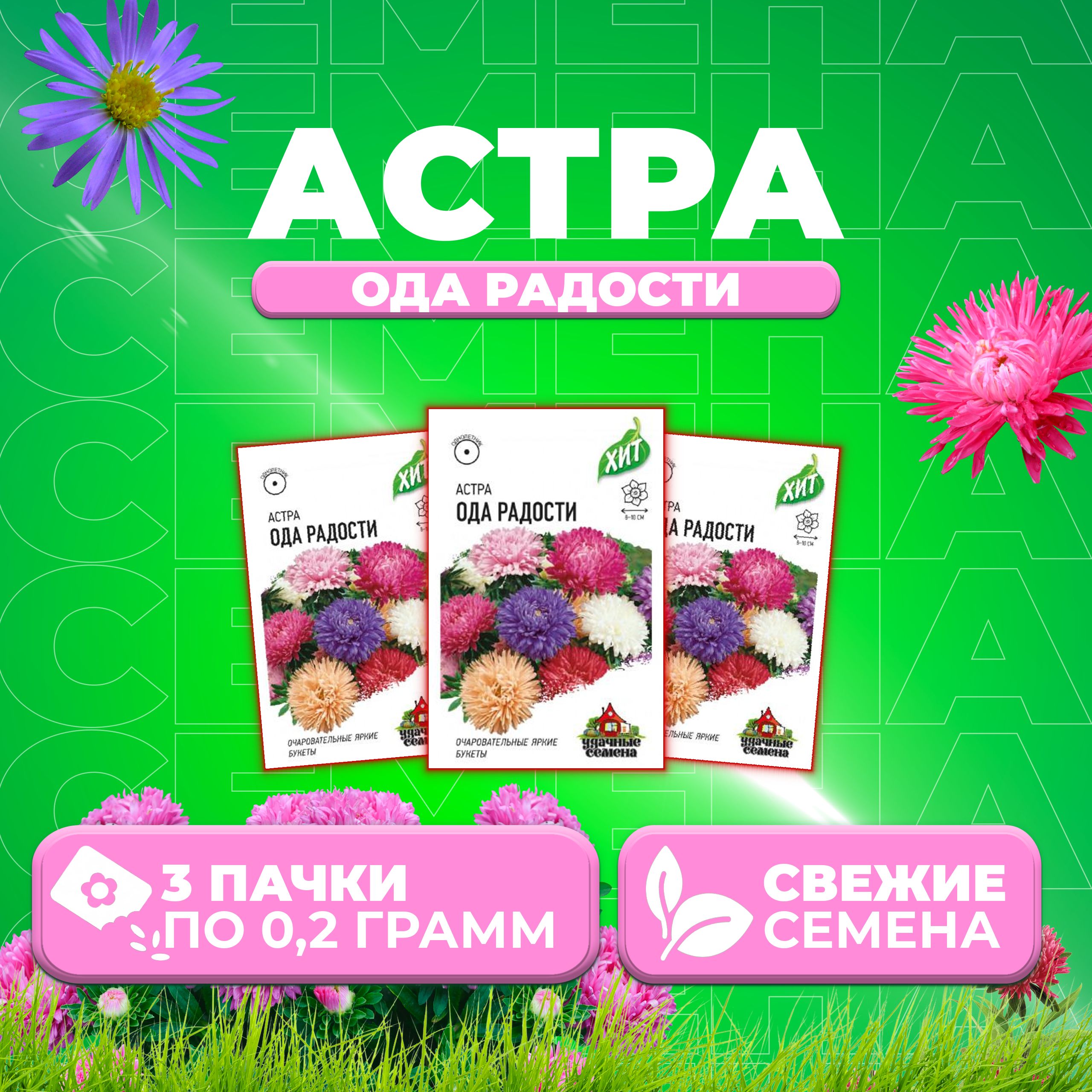 

Семена Астра Ода радости, смесь, 0,2г, Удачные семена, серия ХИТ 3 уп