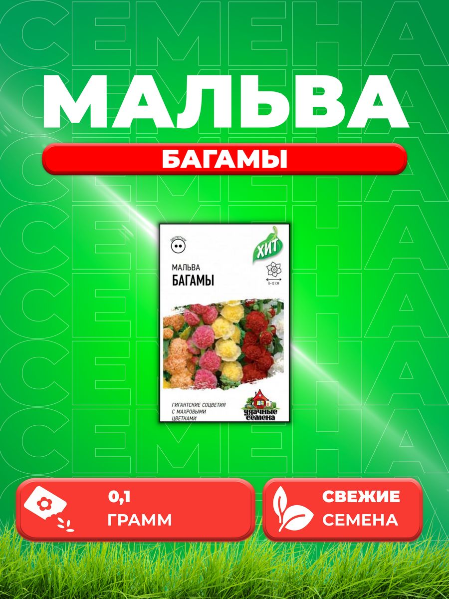 

Семена Мальва Багамы смесь 0,1 г ХИТ х3 DHп