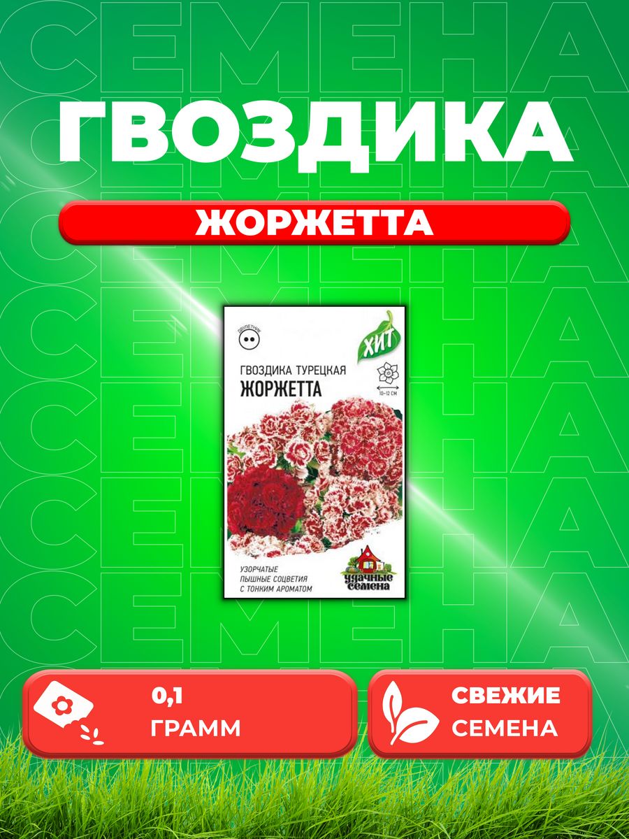 

Семена Гвоздика бородатая турецкая Жоржетта 0,1 г ХИТ х3