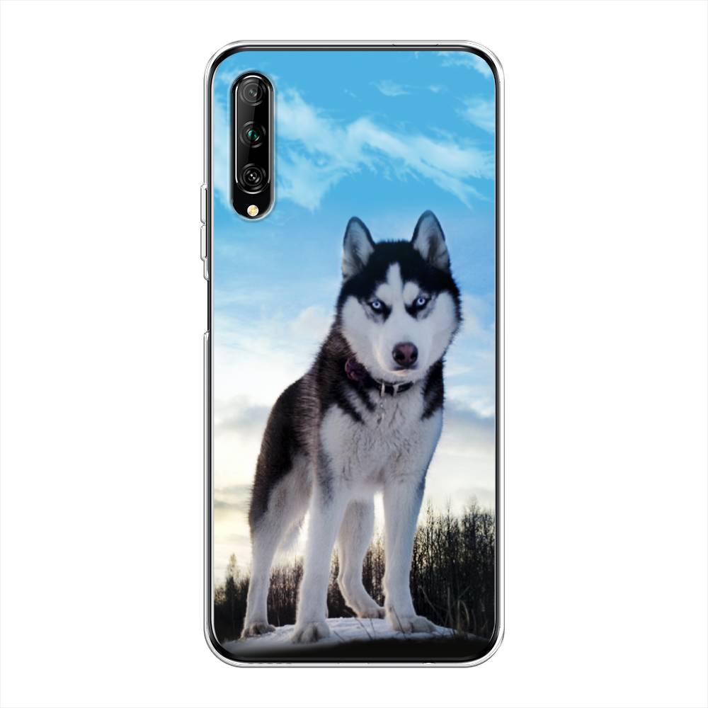 

Чехол Awog на Huawei Y9s "Хаски 3", Разноцветный, 611150-2