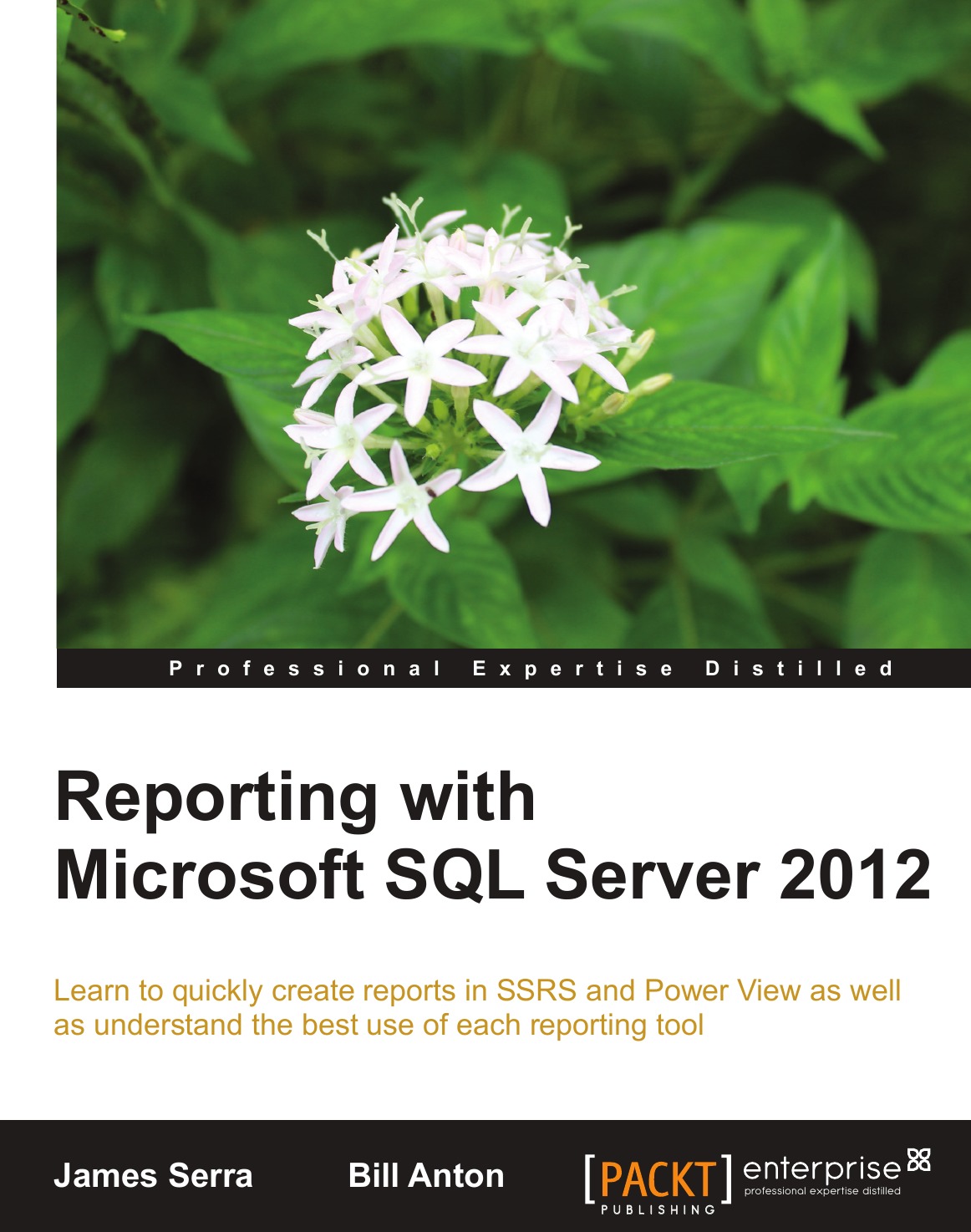 

Reporting with Microsoft SQL Server 2012