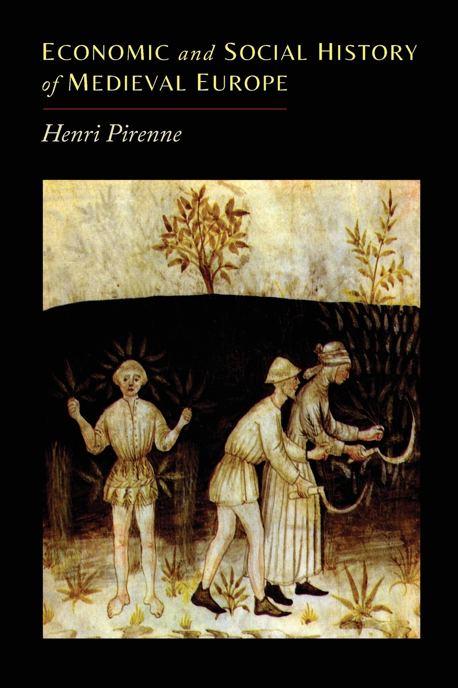 

Economic and Social History of Medieval Europe