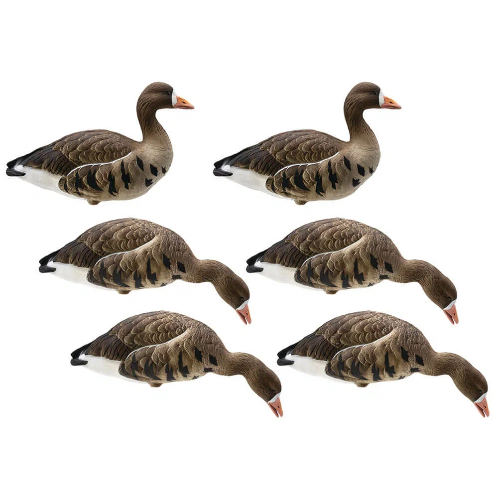 Чучела гусей для охоты белолобый HD fullbody Final Approach 6шт. FA-227283