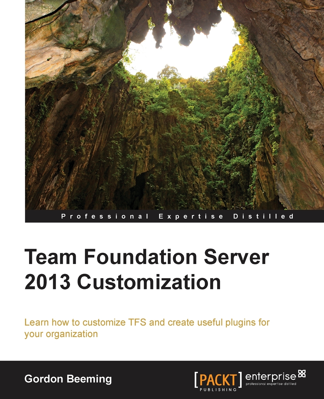 

Team Foundation Server 2013 Customization
