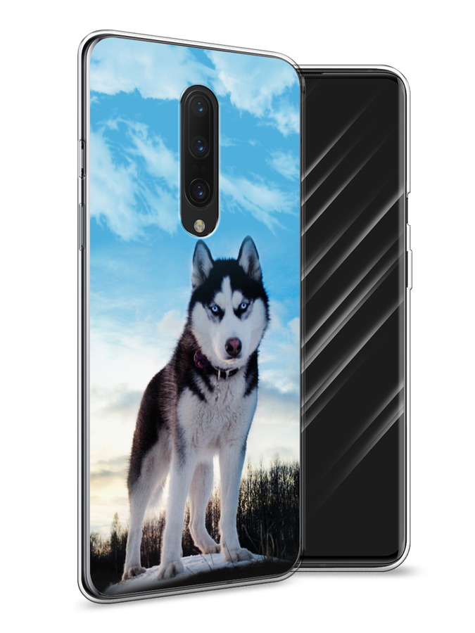 

Чехол Awog на OnePlus 8 / ВанПлас 8 "Хаски 3", Белый;черный;голубой, 151250-2