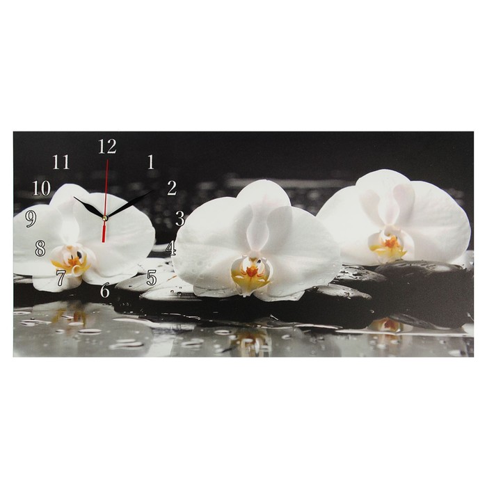фото Сюжет серия: цветы, на холсте, "белые орхидеи", 40х76 см