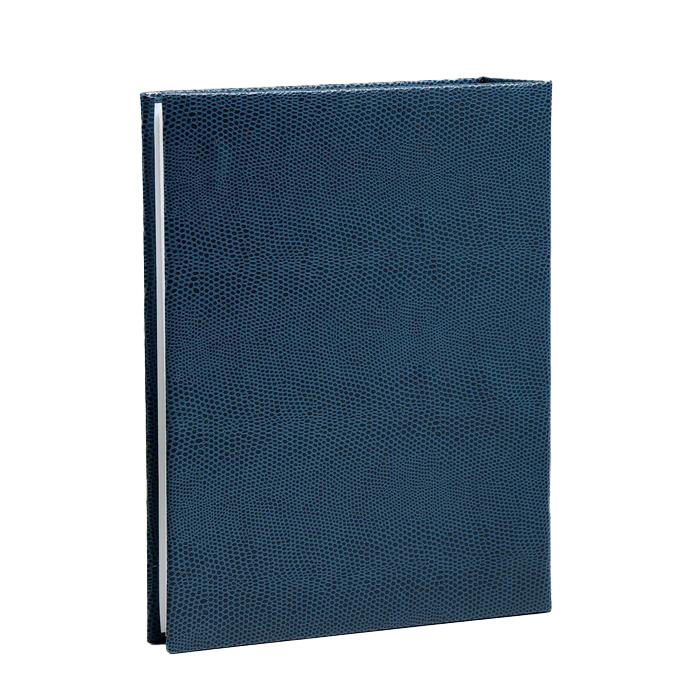 

КНР "Синий", на 200 фото 10х15 см, 18,5х5х23,5 см