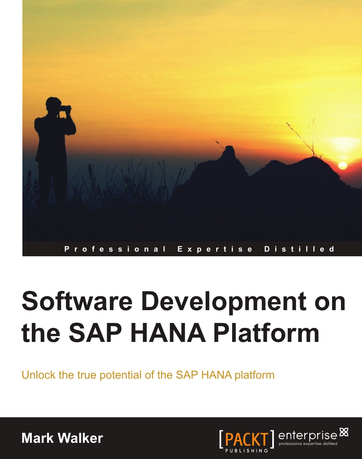 

Software Development on the SAP Hana Platform