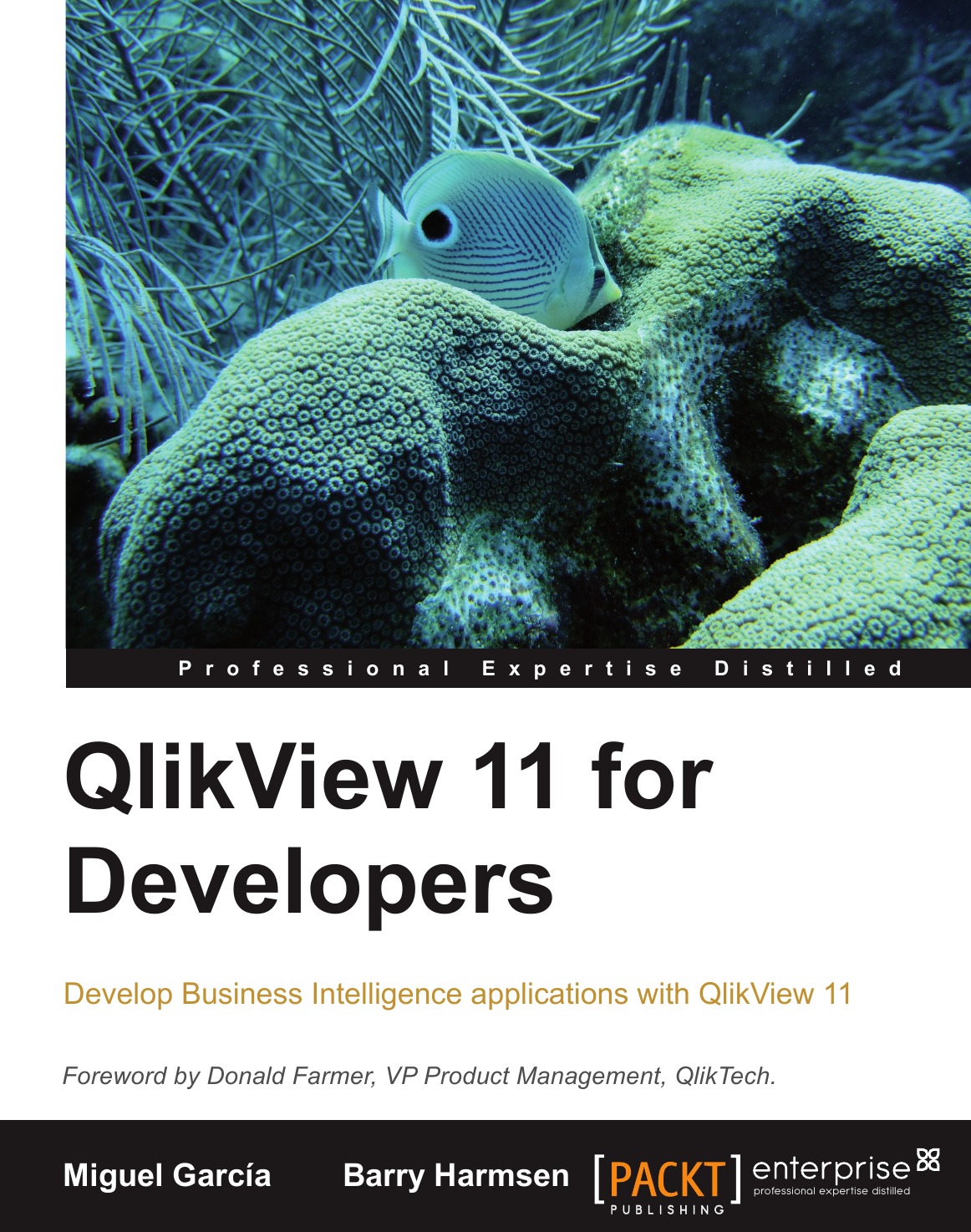 

Qlikview 11 Developer's Guide