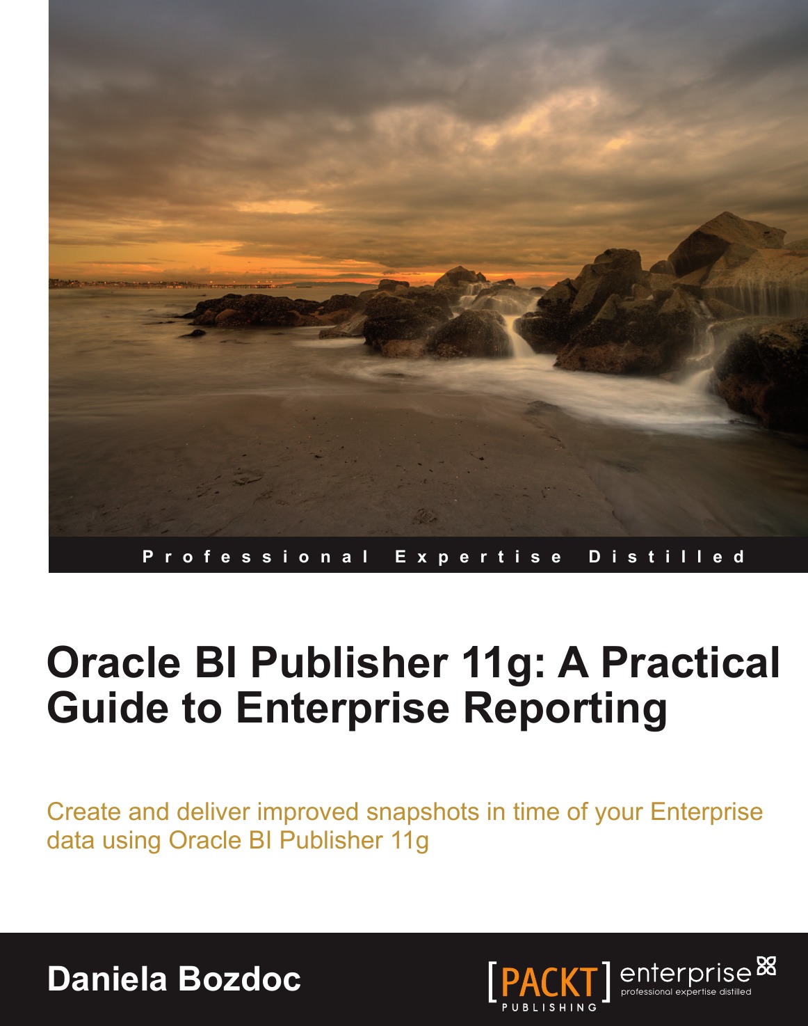 

Oracle Bi Publisher 11g