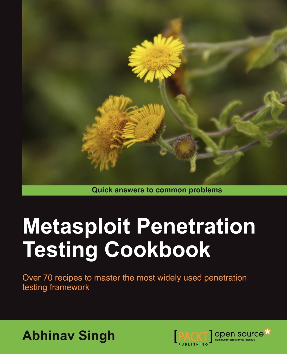 

Metasploit Penetration Testing Cookbook