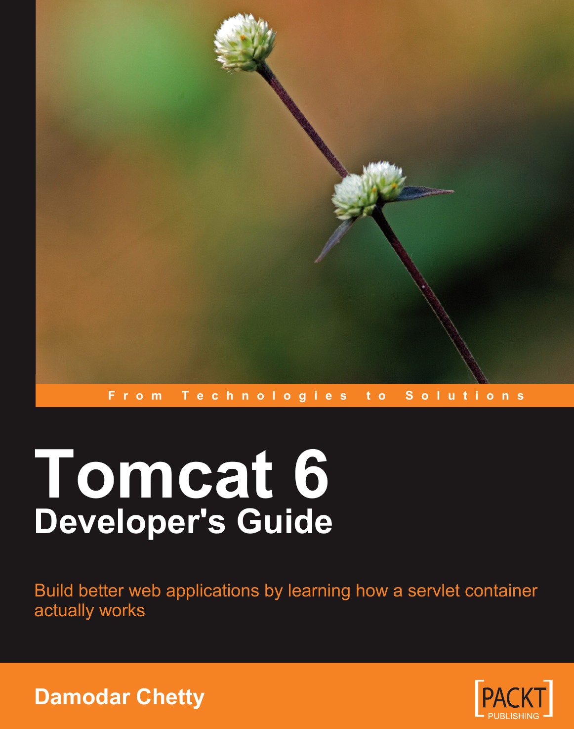 

Tomcat 6 Developer's Guide