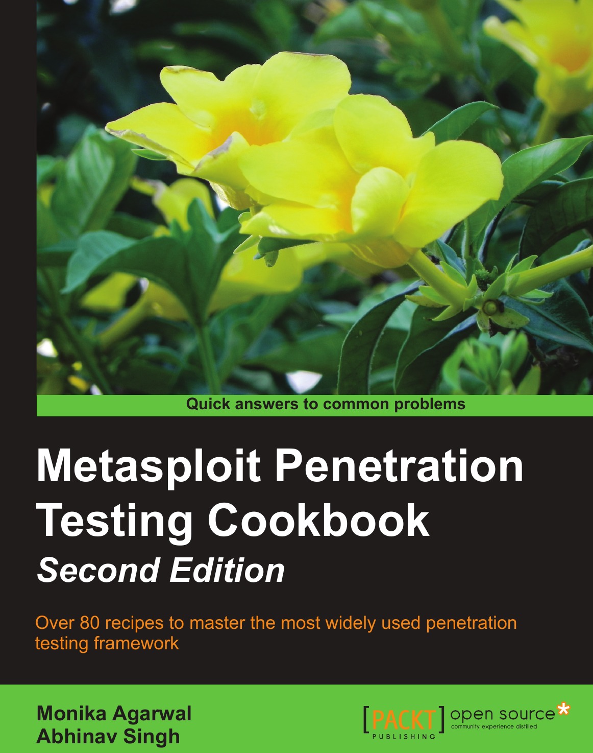 

Metasploit Penetration Testing Cookbook, Second Edition
