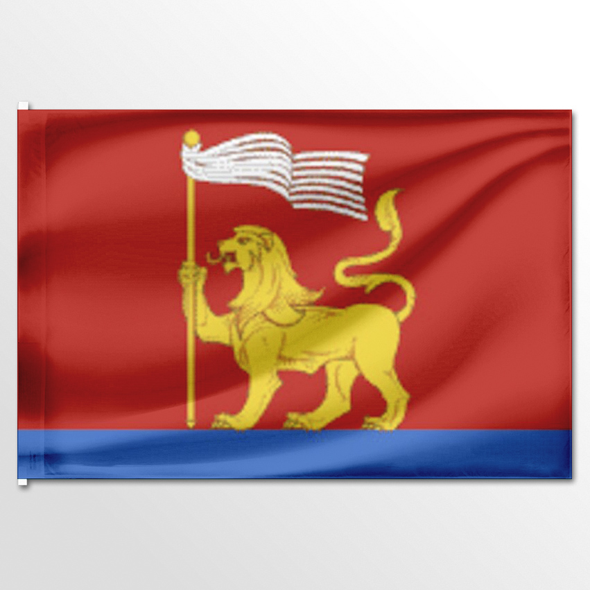 

Флаг ЦТП ФЕНИКС Тукаевского района 135x90 см, 544-135x90