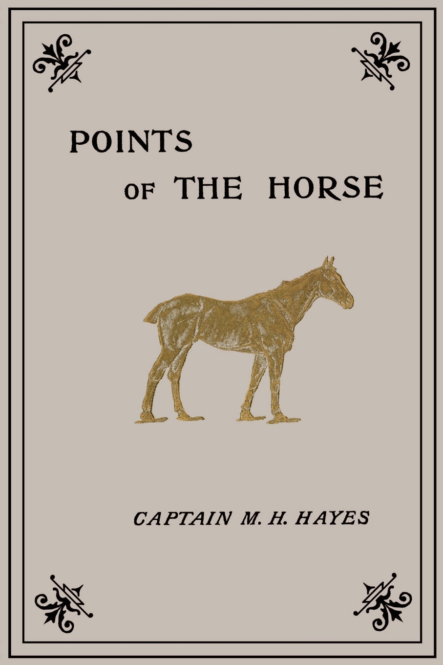 

Points of the Horse