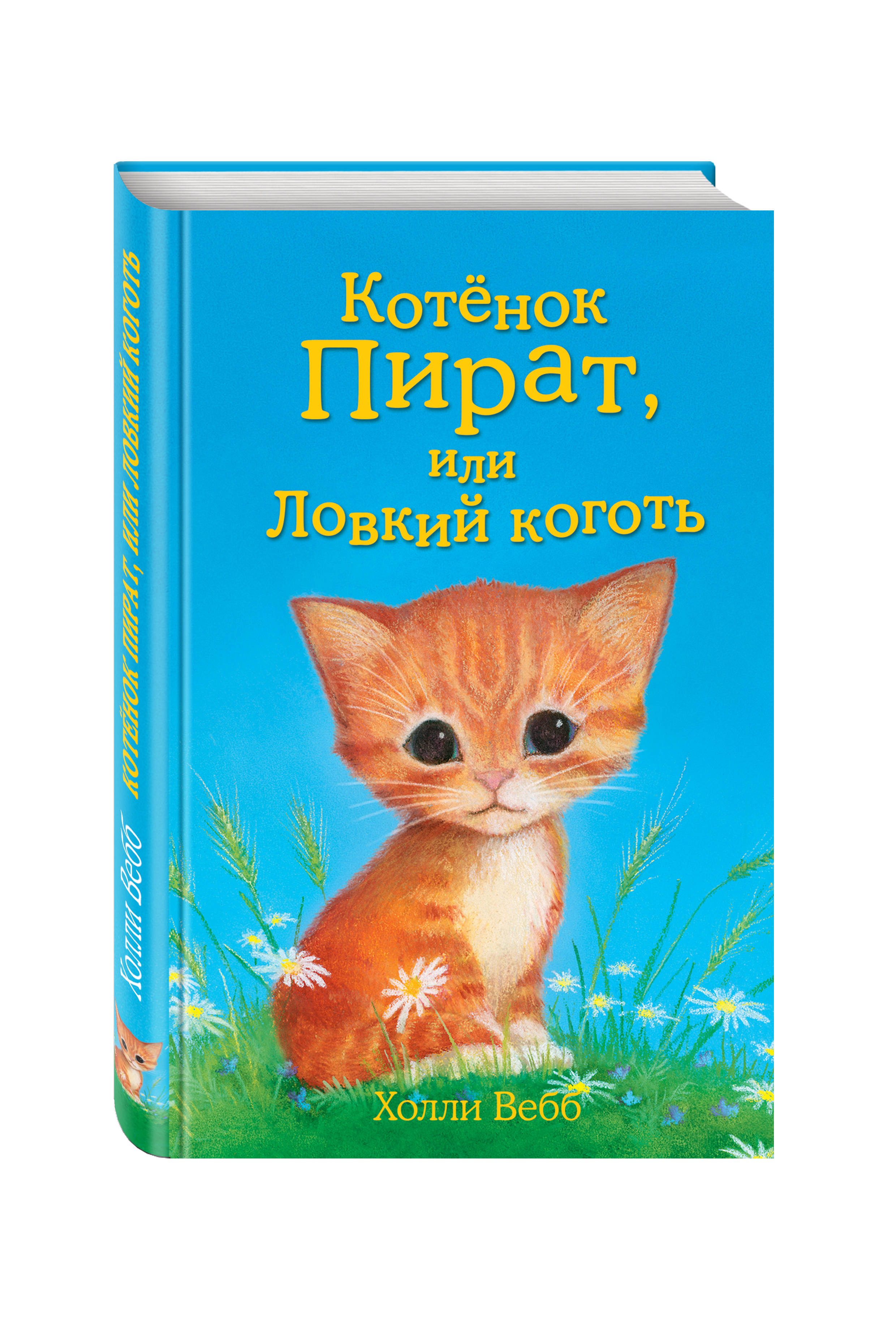 

Котёнок Пират, или Ловкий коготь