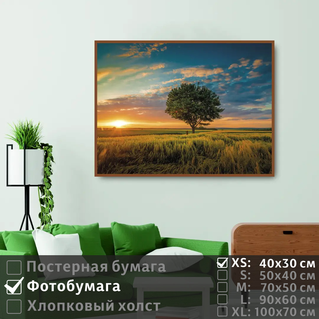 

Постер на фотобумаге ПолиЦентр Дерево в поле на закате 40х30 см, ДеревоВПолеНаЗакате