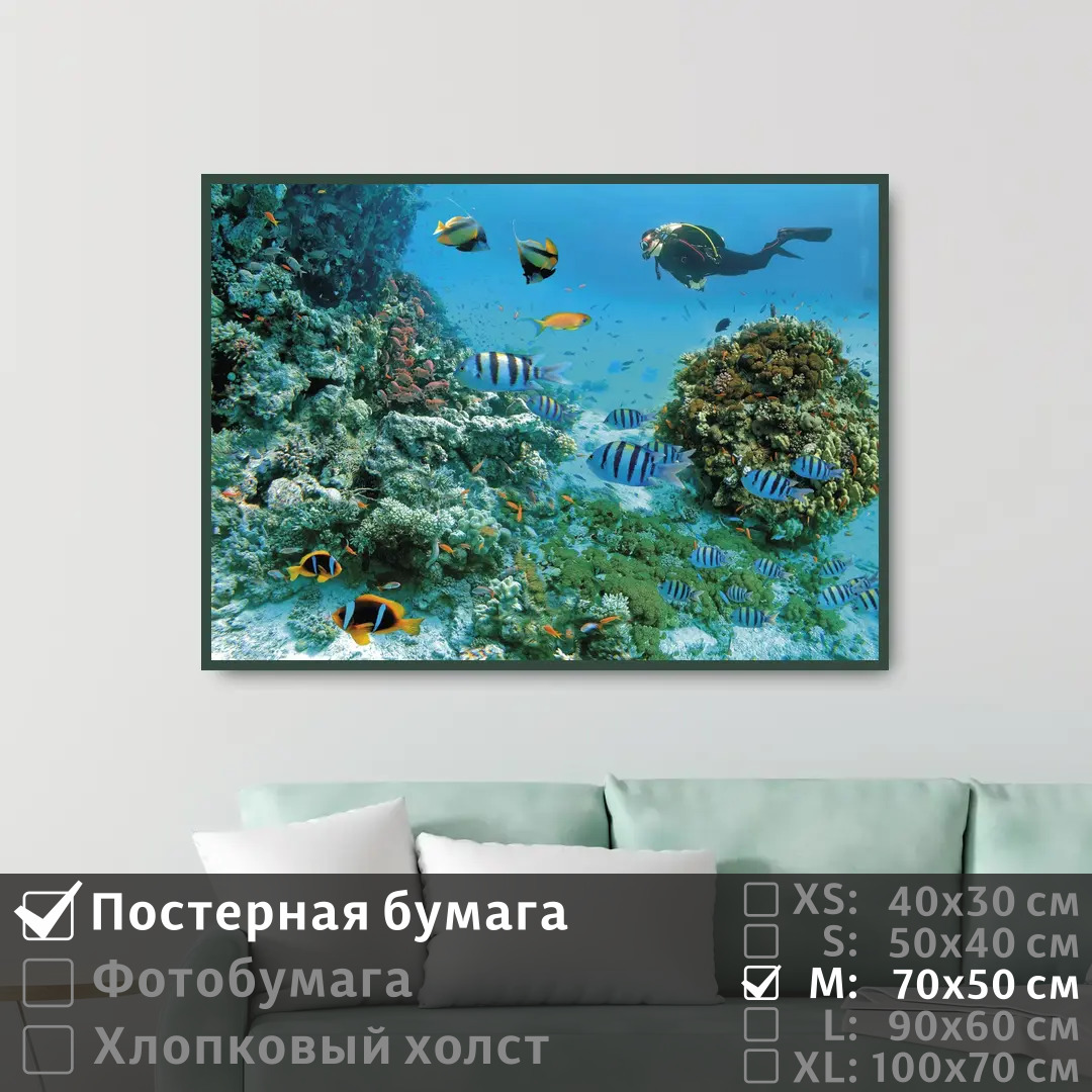 

Постер на стену ПолиЦентр Морские рыбы под водой с дайвером 70х50 см, МорскиеРыбыПодВодойСДайвером