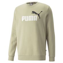 

Свитшот мужской PUMA 58676264 зеленый L, 58676264
