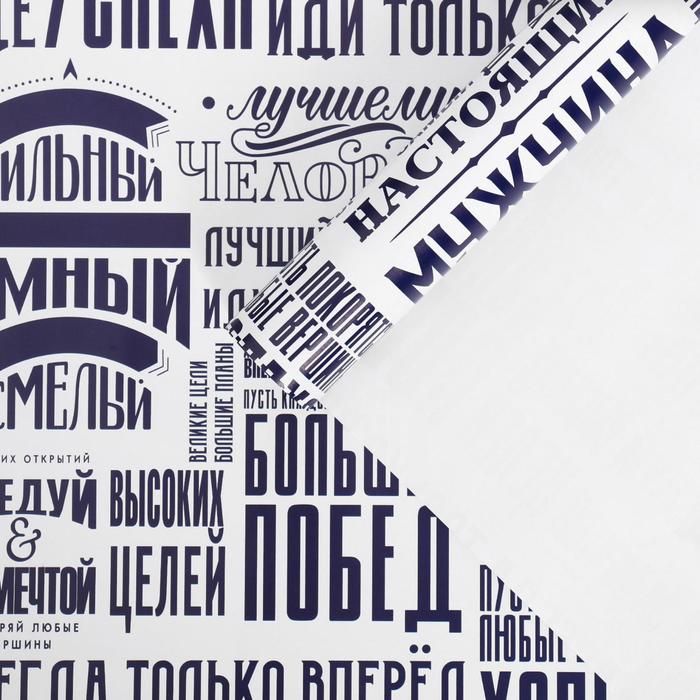 

Бумага упаковочная глянцевая «Больших побед», 60 х 90 см, Белый;синий