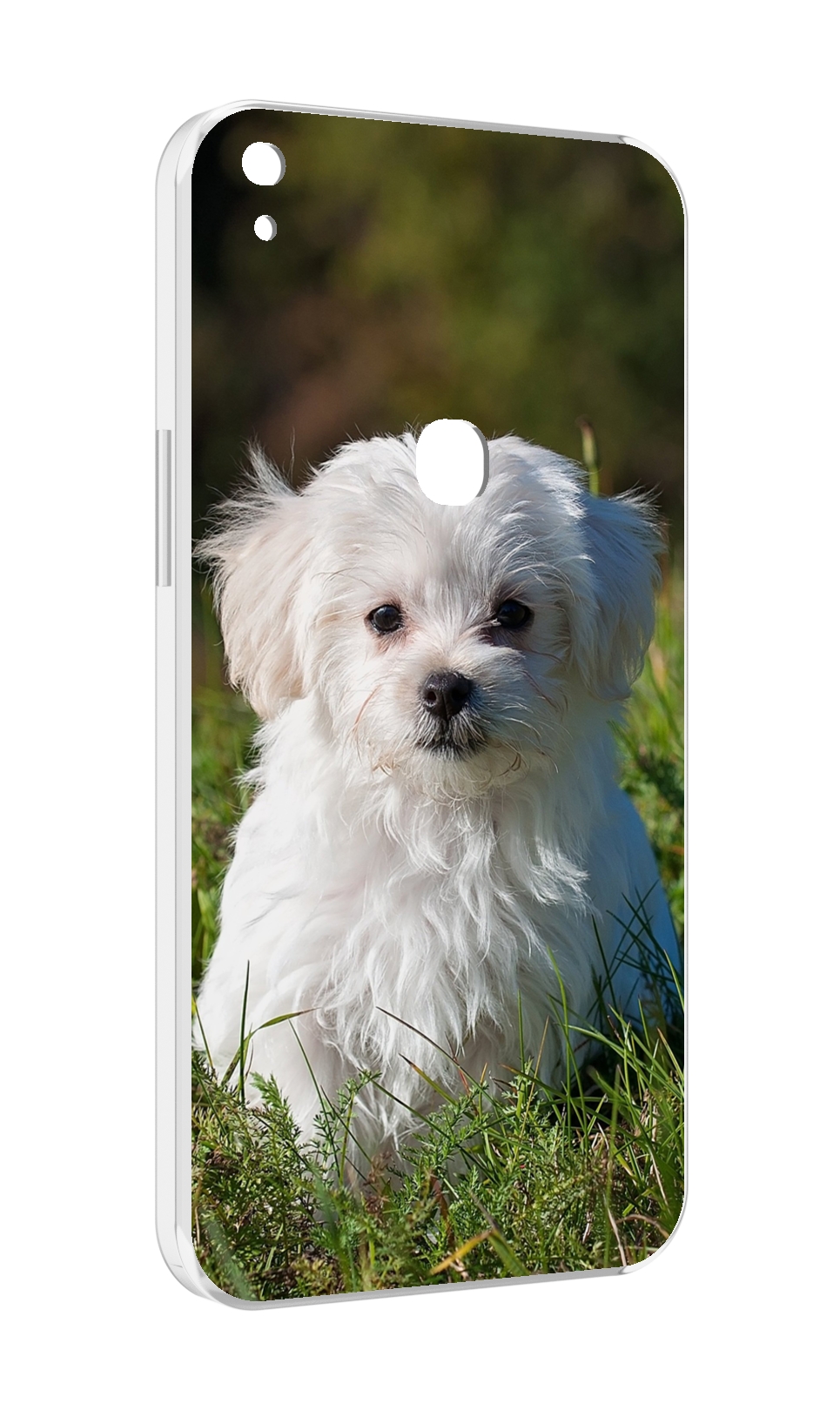 

Чехол MyPads мальтииская-болонка для Alcatel SHINE LITE 5080X 5.0, Прозрачный, Tocco