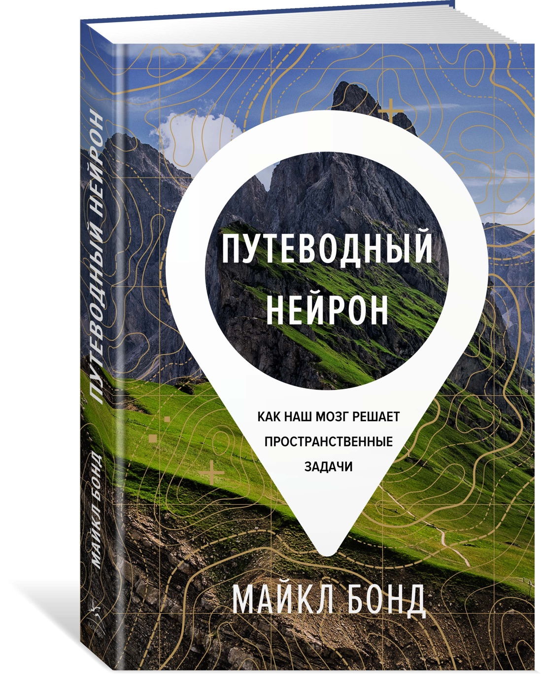 

Путеводный нейрон. Как наш мозг решает пространственные задачи