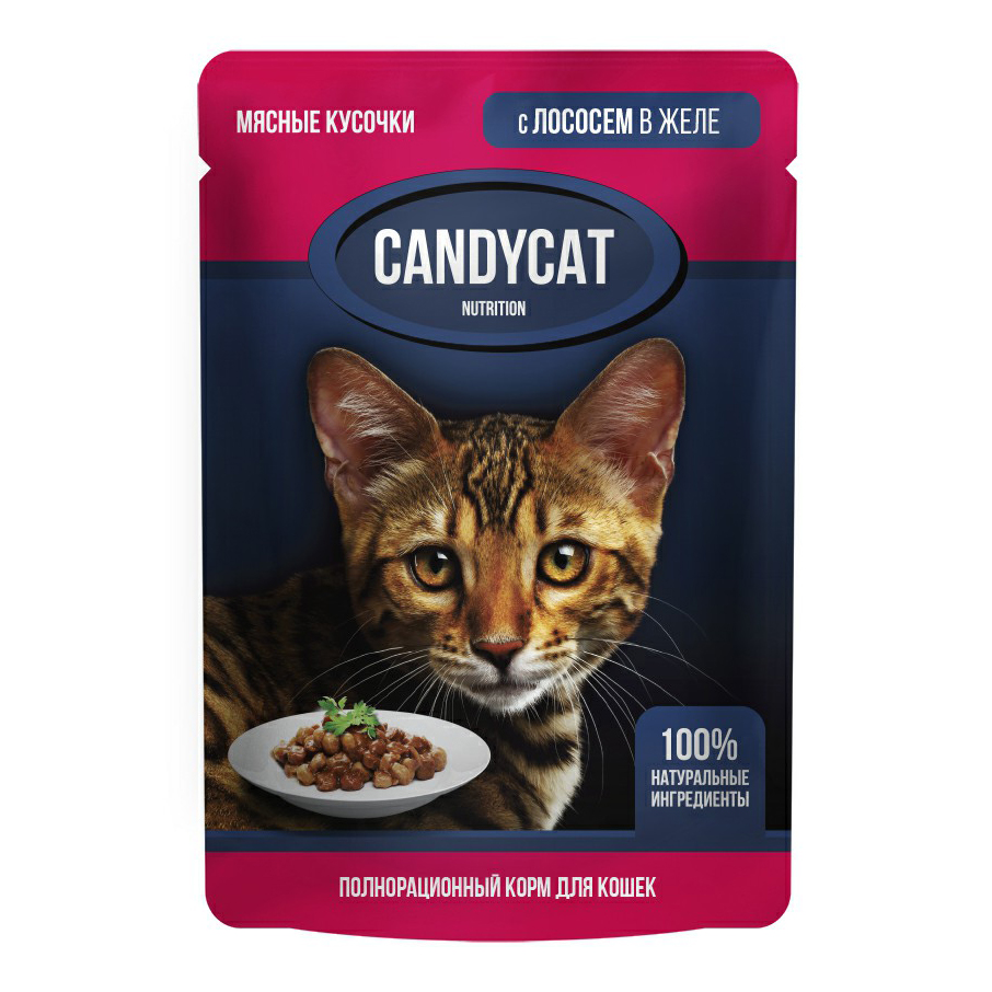 фото Влажный корм candycat лосось в желе для кошек 85 г