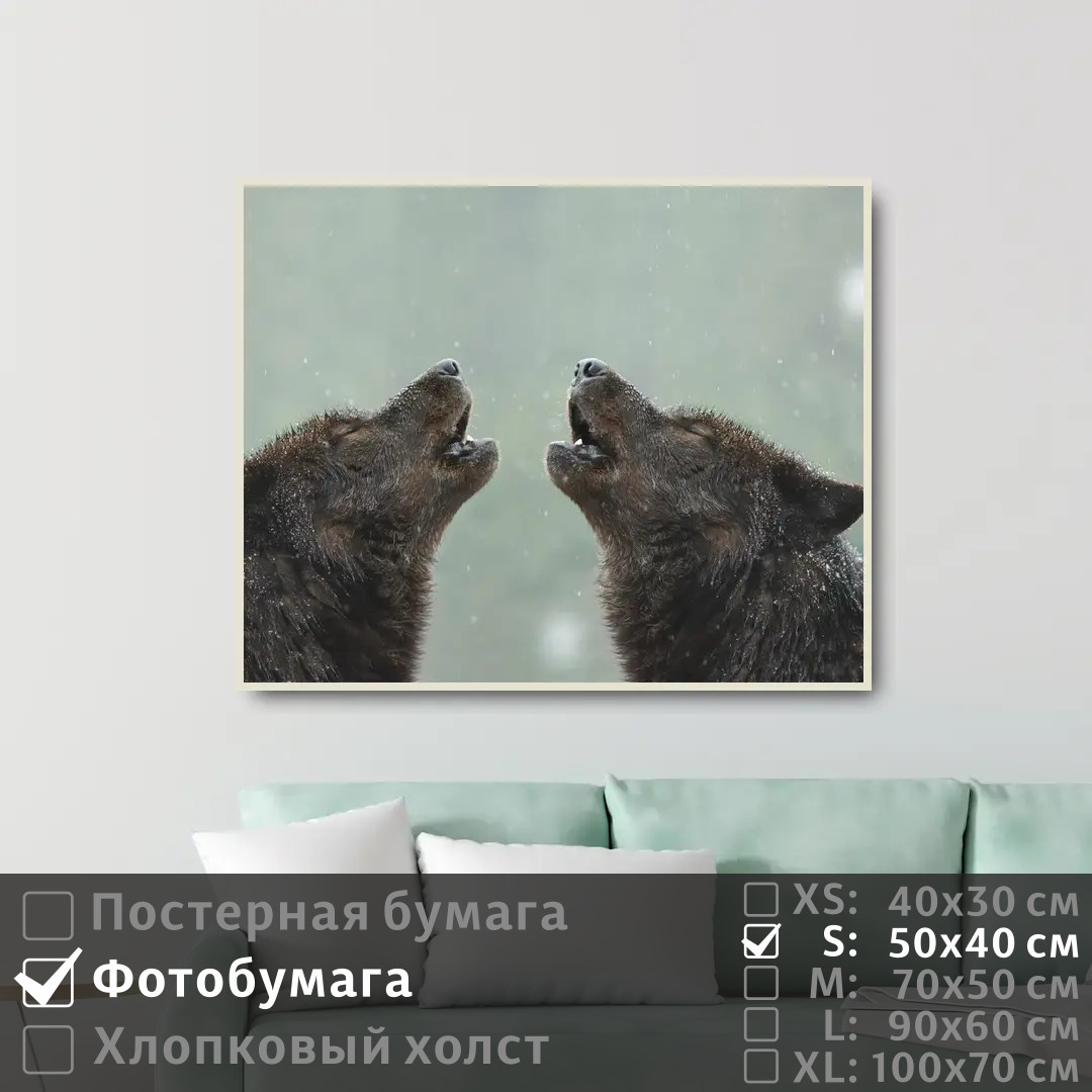 

Постер на фотобумаге ПолиЦентр Волки воют вместе в снежный день 50х40 см, ВолкиВоютВместеВСнежныйДень