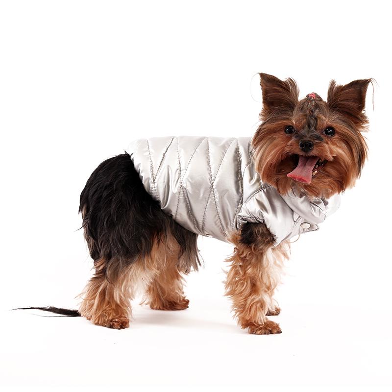 фото Куртка для собак yoriki серебро унисекс р s 20 см