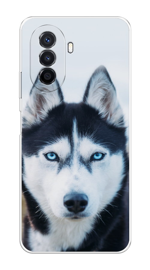 

Чехол на Huawei Nova Y70 "Хаски 2", Синий;белый, 6109150-1