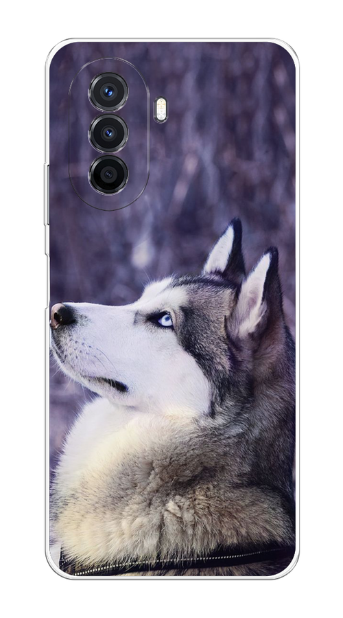

Чехол на Huawei Nova Y70 "Хаски 1", Фиолетовый;белый, 6109150-1