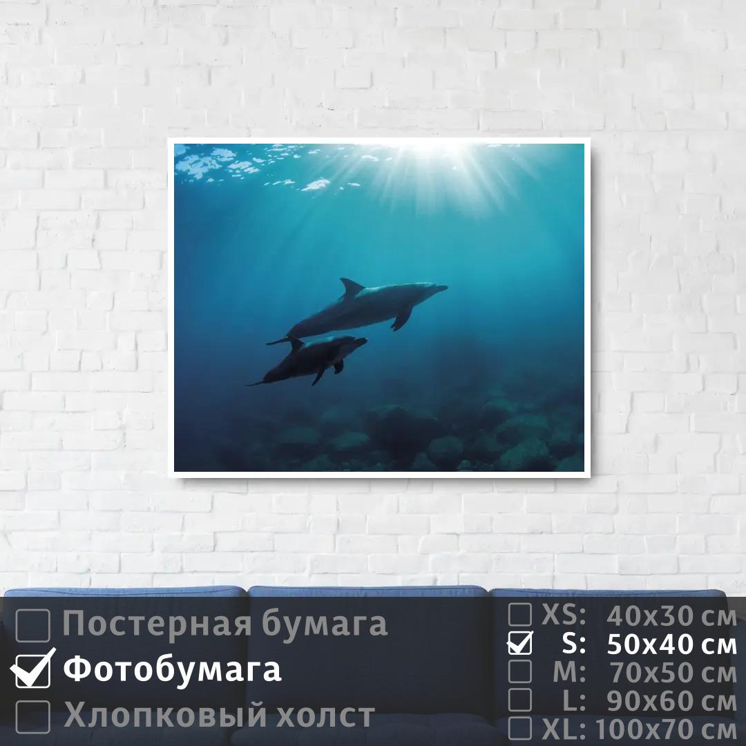 

Постер на фотобумаге ПолиЦентр Два дельфина плавают в глубине океана 50х40 см, ДваДельфинаПлаваютВГлубинеОкеана