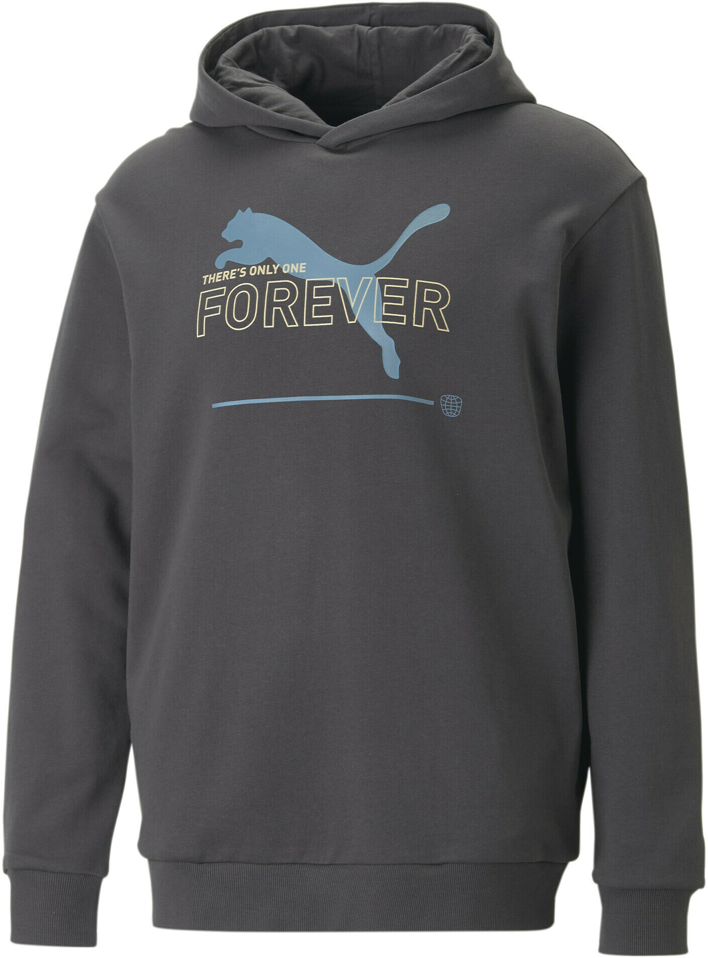 

Худи мужское PUMA 67329375 серое L, Серый, 67329375