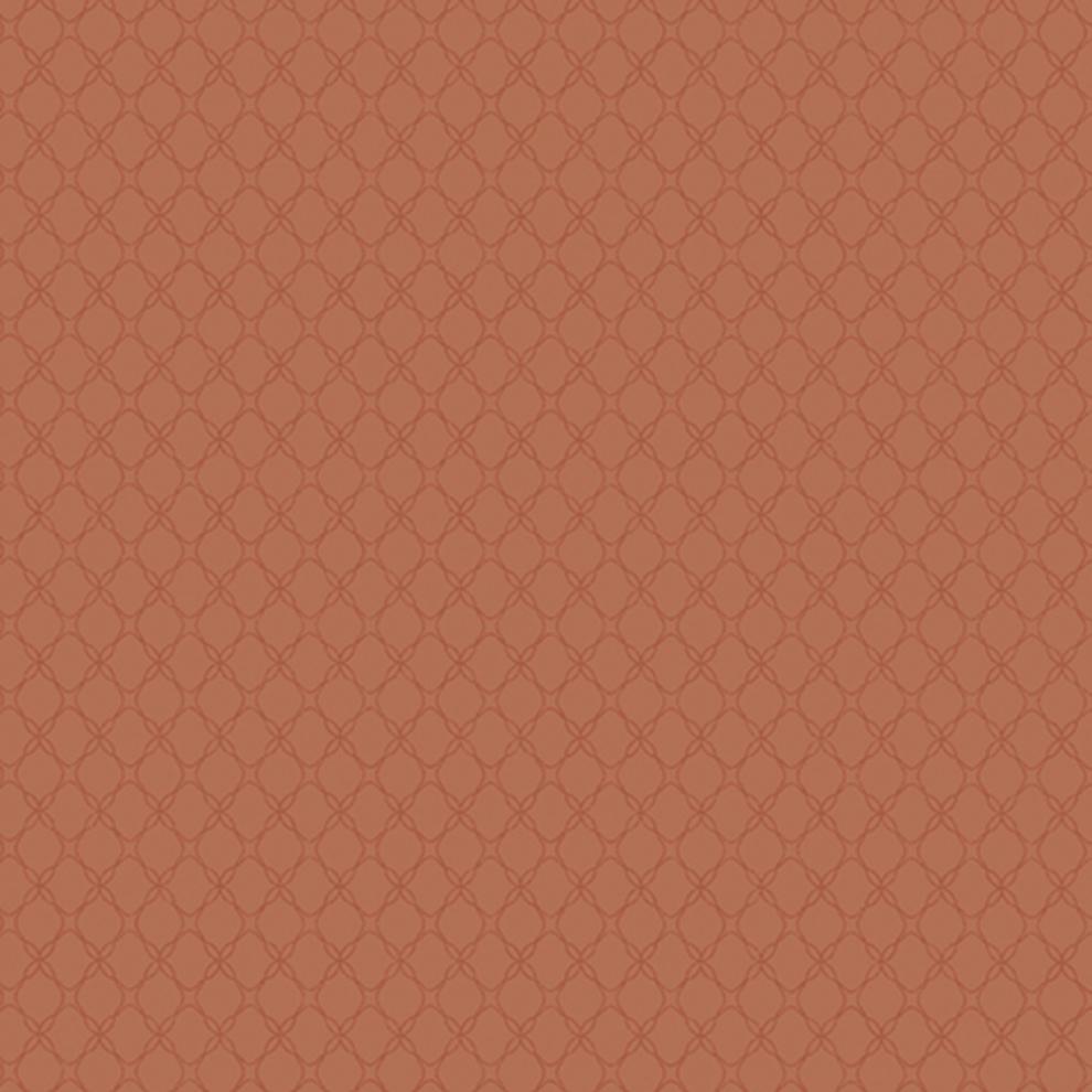 

Andrea Rossi Gallinara 54315-9