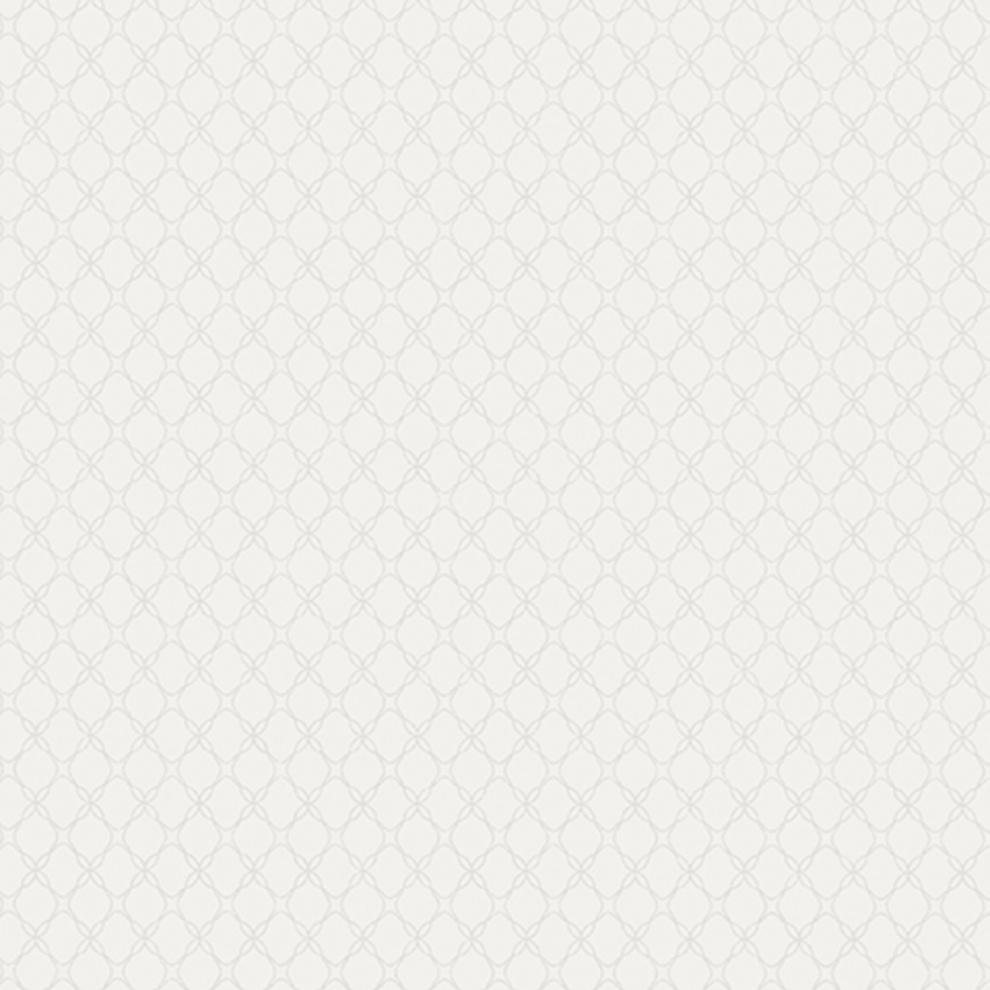 

Andrea Rossi Gallinara 54315-2