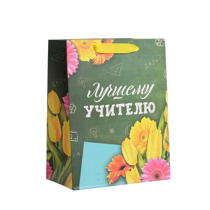 

Пакет ламинированный вертикальный «Лучшему учителю», MS 18 х 23 х 10 см, Зеленый