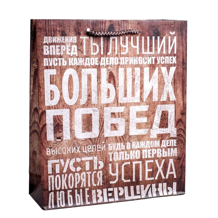 

Пакет ламинированный вертикальный «Больших побед», MS 18  23  8 см, Коричневый