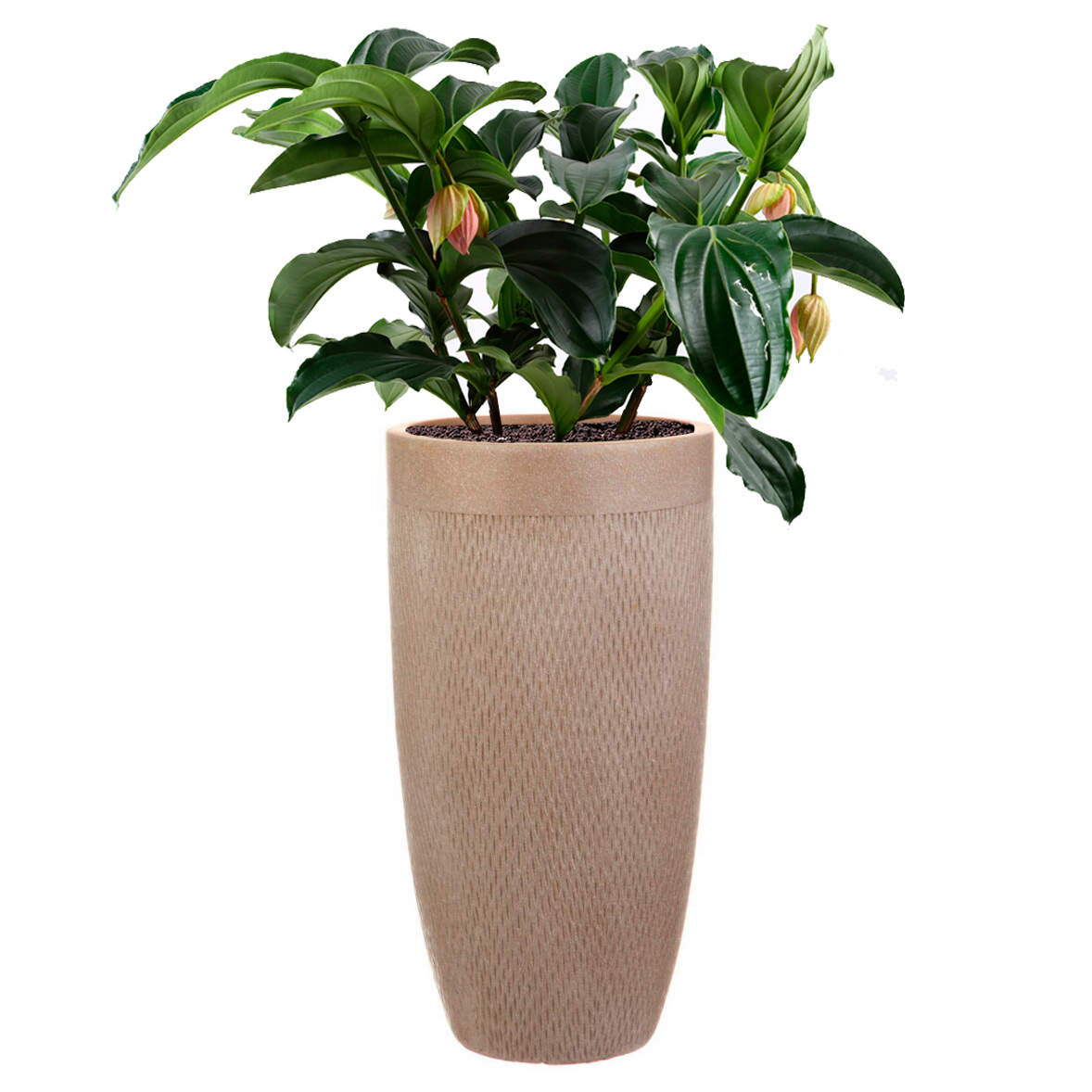 Цветочное кашпо Idealist Lite Лотус высокое круглое MESHV30-T 40 л серо-коричневый 1 шт.