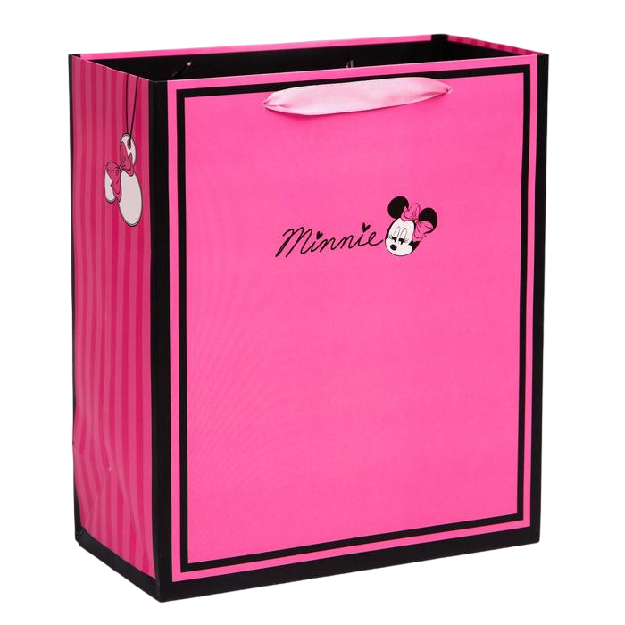 Пакет Disney ламинат вертикальный Minnie Минни Маус 23х27х11,5 см
