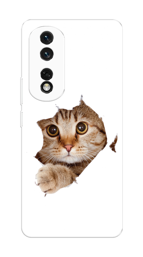 

Чехол на Honor 80 Pro "Кот и бумага", Белый;коричневый, 6120450-1